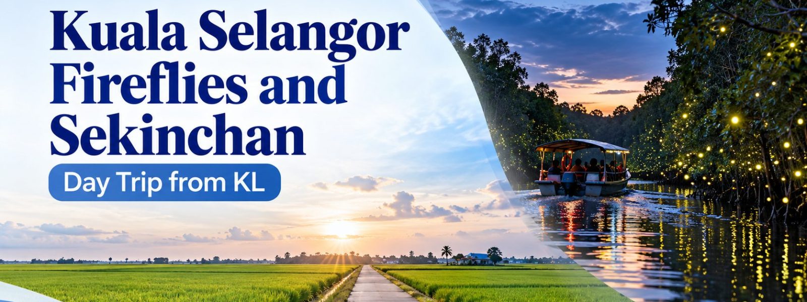 Kuala Selangor fireflies and Sekinchan day trip from KL