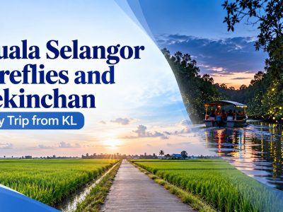 Kuala Selangor fireflies and Sekinchan day trip from KL